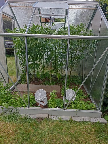 WhatsApp Bild 2024-08-09 um 08.35.41_8932b8b7