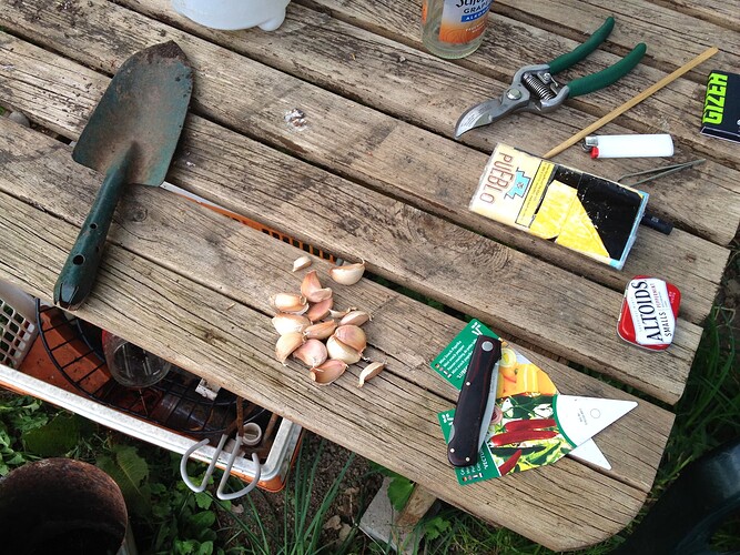 Growreport Bild 43