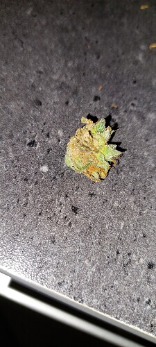 Growreport Bild 1