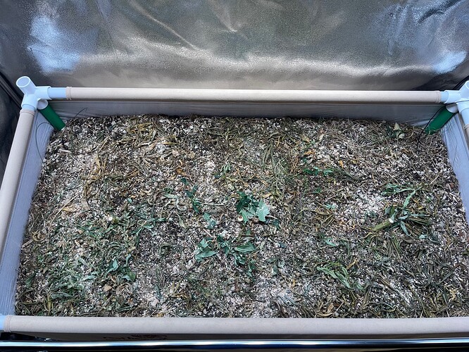 Growreport Bild 8