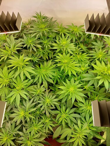 Growreport Bild 8