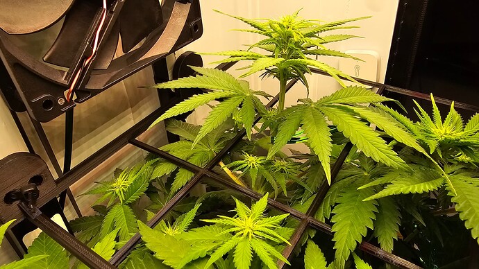 Growreport Bild 10