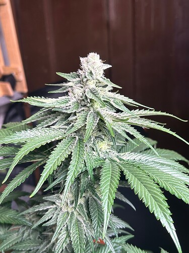 Growreport Bild 11