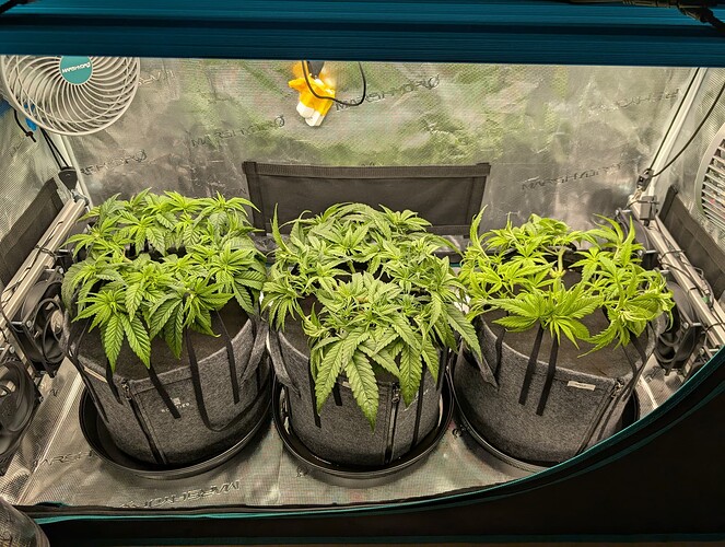 Growreport Bild 17