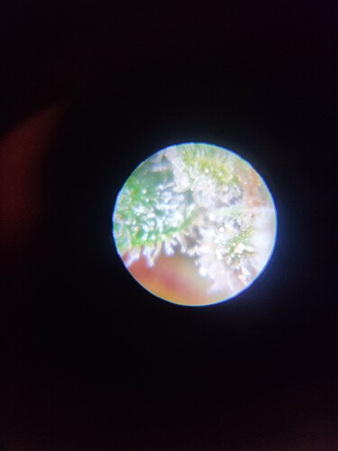 Growreport Bild 26