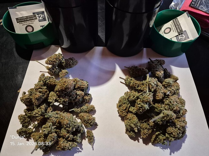 Growreport Bild 10