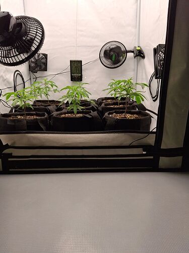 Growreport Bild 1