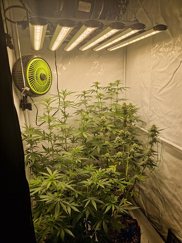 Growreport Bild 5