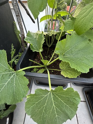 Growreport Bild 24