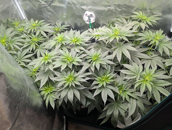 Growreport Bild 6