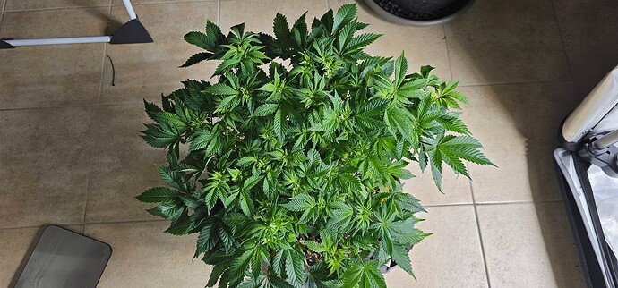 Growreport Bild 22