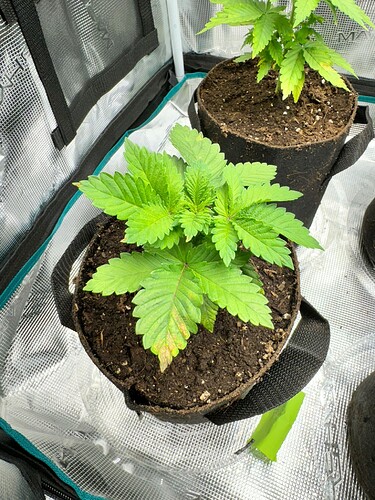 WhatsApp Image 2024-04-14 at 19.56.07