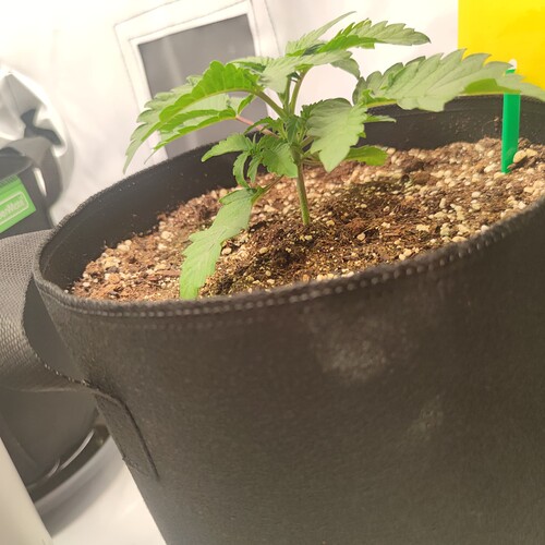 Growreport Bild 10