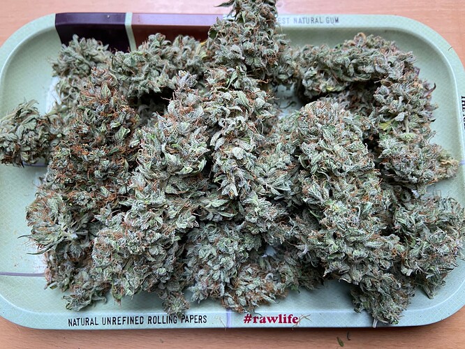 Growreport Bild 10