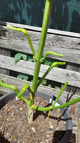 Growreport Bild 16