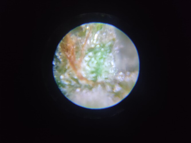 Growreport Bild 13