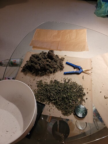 Growreport Bild 12