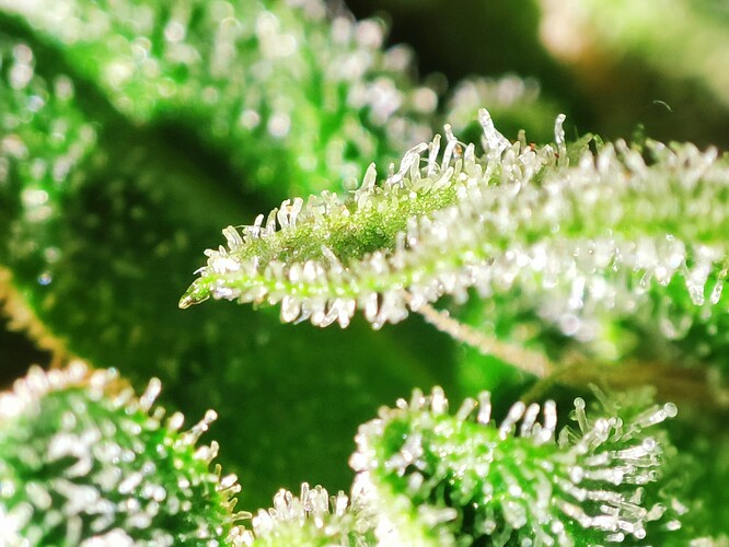 Growreport Bild 13