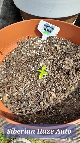 Growreport Bild 18