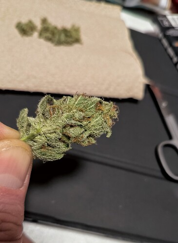Growreport Bild 1