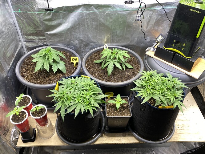 Growreport Bild 15