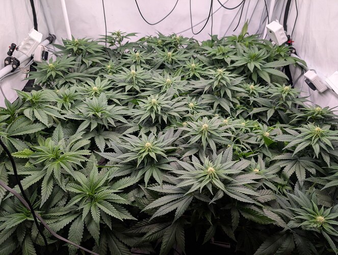 photo_2025-11-25_12-41-31