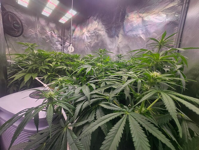 Growreport Bild 22