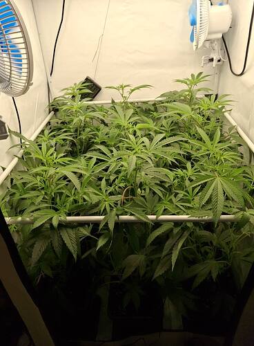 Growreport Bild 20