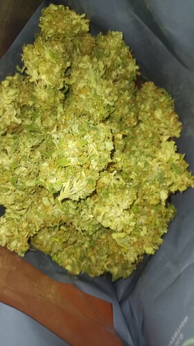 Growreport Bild 32