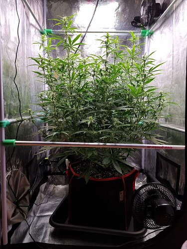 Growreport Bild 4