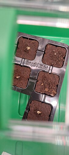 Growreport Bild 10