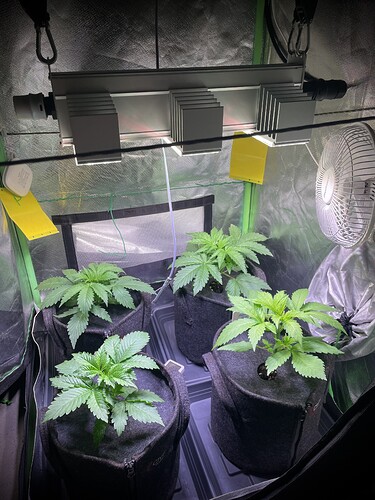 Growreport Bild 8