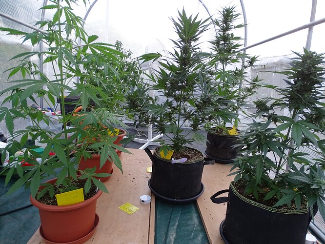 Growreport Bild 2