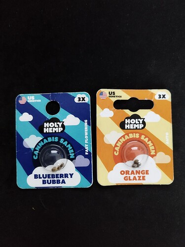 Zwei Packungen Cannabis-Samen, eine mit der Aufschrift "Blueberry Bubba" und die andere mit "Orange Glaze".