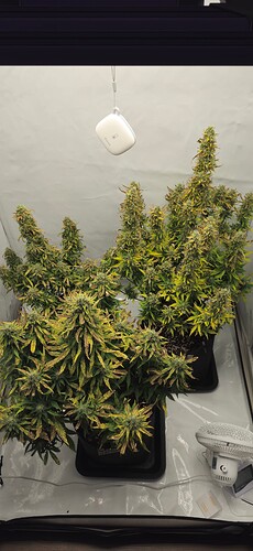 Growreport Bild 18