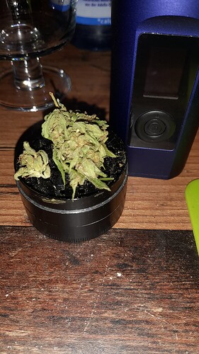 Growreport Bild 35