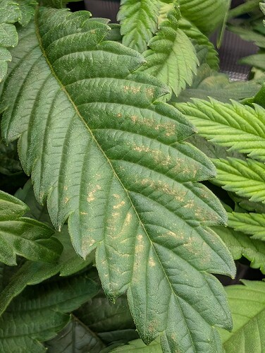 Growreport Bild 11