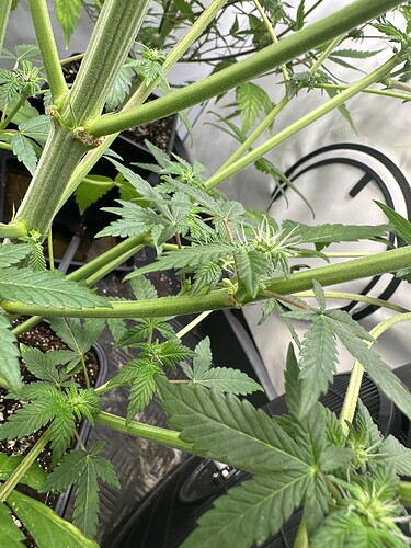Growreport Bild 8