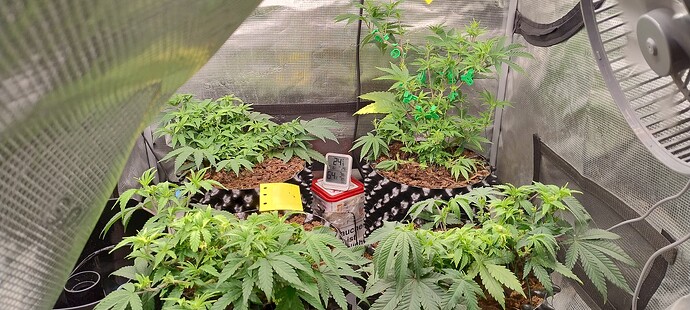 IMG_20251015_092050559_HDR