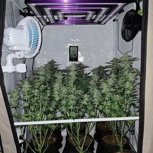 476369319_122166995960293599_4157300587359199418_n