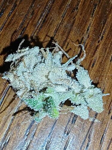 Growreport Bild 36