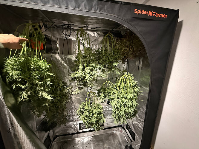 Growreport Bild 38