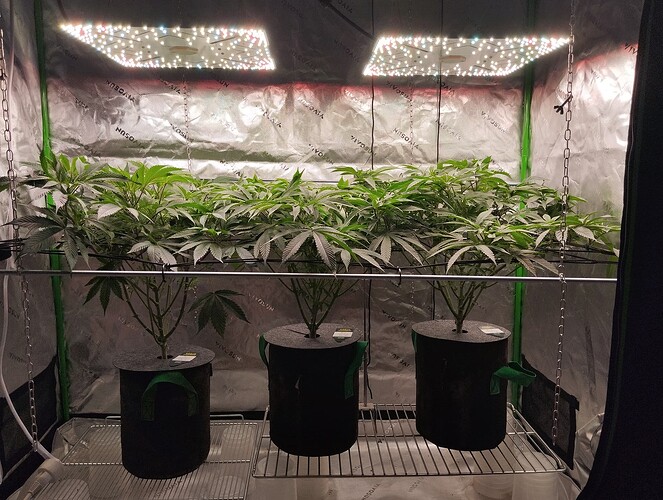 Growreport Bild 10