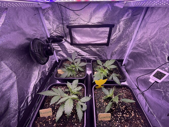 Growreport Bild 26