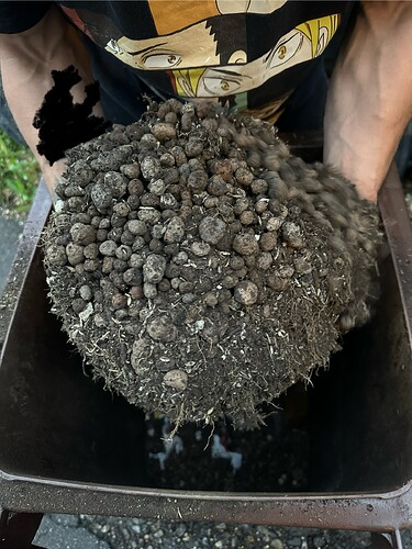 Growreport Bild 42