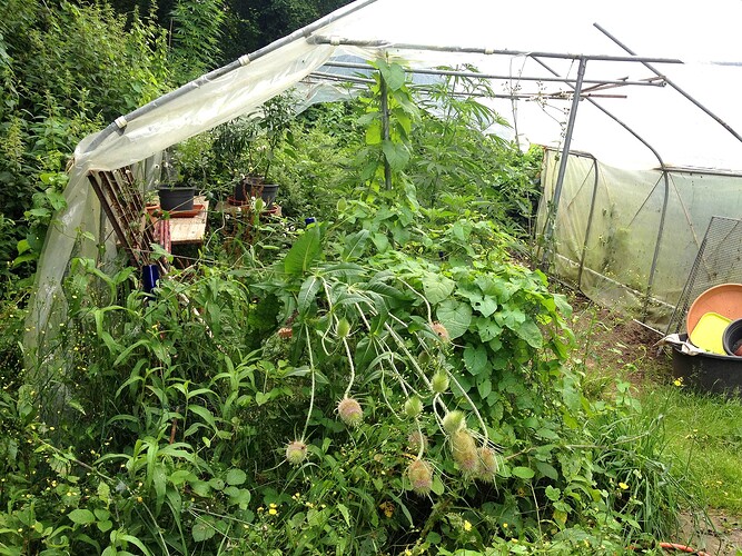 Growreport Bild 10