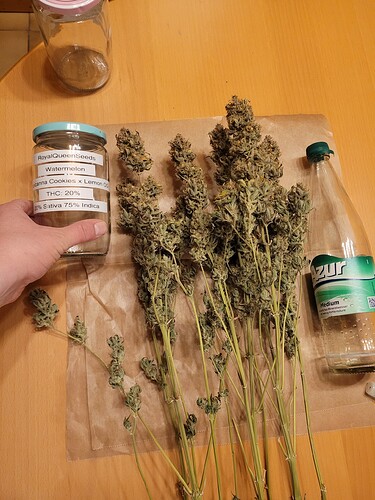 Growreport Bild 4