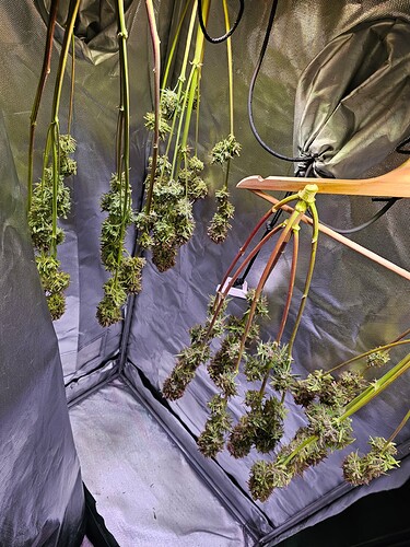 Growreport Bild 11
