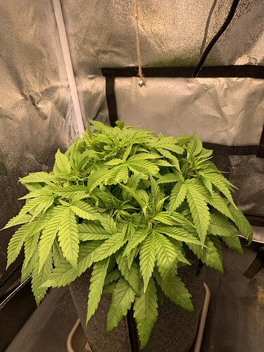 Growreport Bild 2