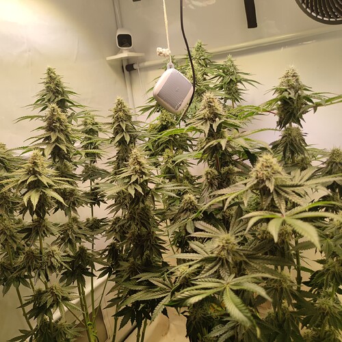 Growreport Bild 11